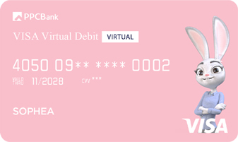 Visa Virtual Debit